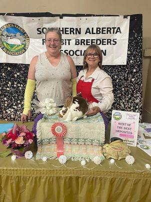 fke4-win.jpg fke4-win.jpg