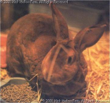 alice-99-01.jpg alice-99-01.jpg