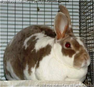 jasmine-04-01-01.jpg jasmine-04-01-01.jpg