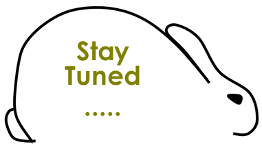 stay-tuned.png stay-tuned.png