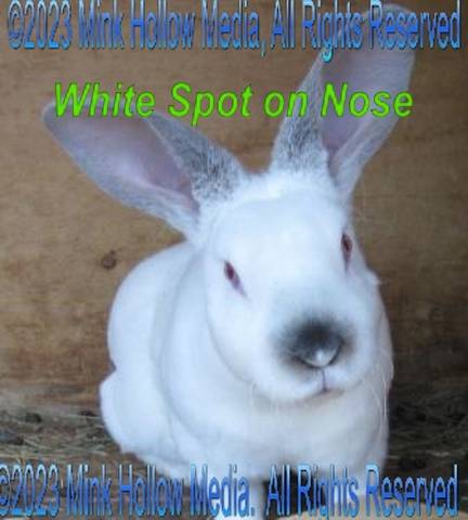 2012-02-12-13-58-18c_wm.jpg 2012-02-12-13-58-18c_wm.jpg