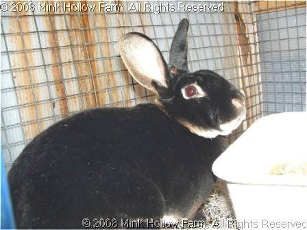 macbeth-0-01-14-2.jpg macbeth-0-01-14-2.jpg