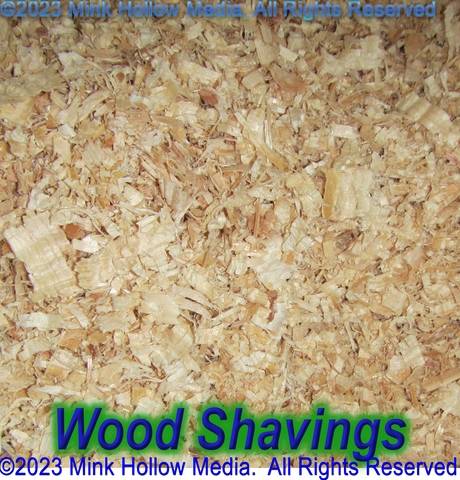 2023-07-26-12-52-31_wm.jpg 2023-07-26-12-52-31_wm.jpg