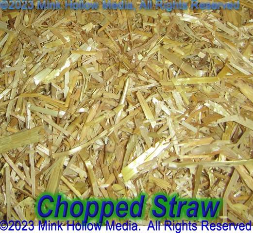 2023-07-26-12-52-39_wm.jpg 2023-07-26-12-52-39_wm.jpg