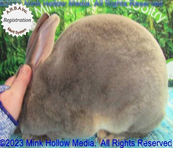 0-main.jpg 0-main.jpg