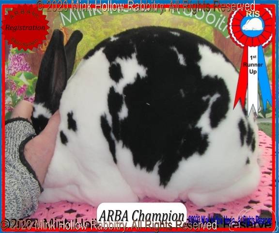 0-main.jpg 0-main.jpg