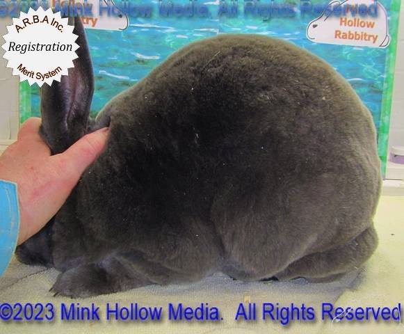 0-main.jpg 0-main.jpg