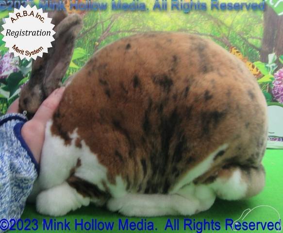 0-main.jpg 0-main.jpg