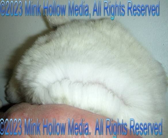 gbc-2023-02-28-19-34-26_wm.jpg gbc-2023-02-28-19-34-26_wm.jpg