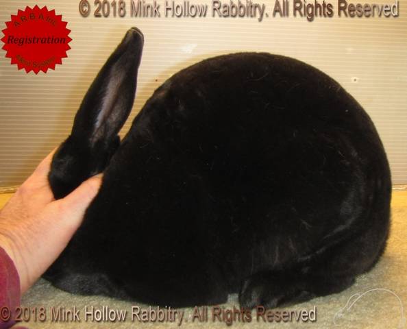 0-main.jpg 0-main.jpg