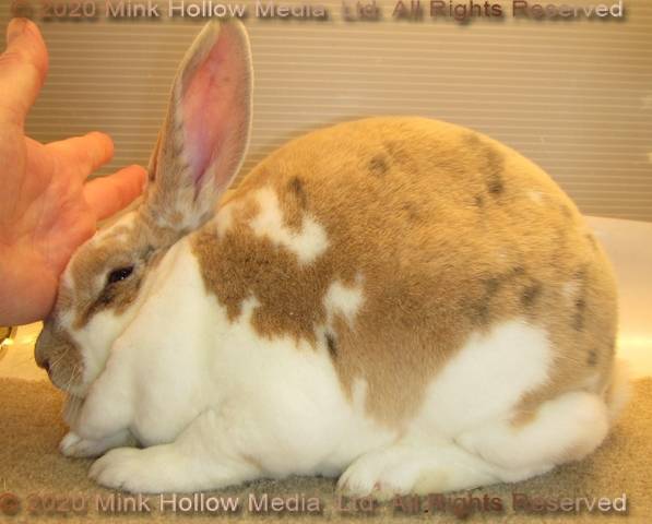 0-main.jpg 0-main.jpg