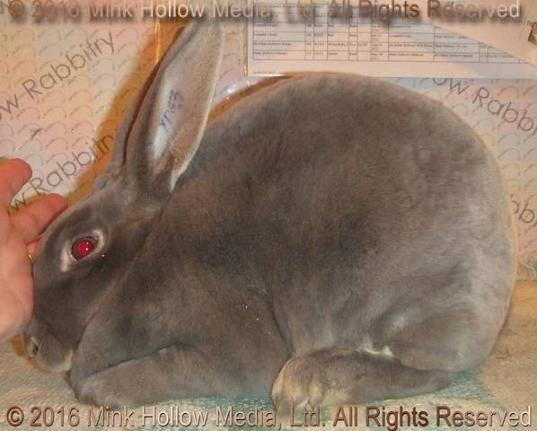 1-main.jpg 1-main.jpg