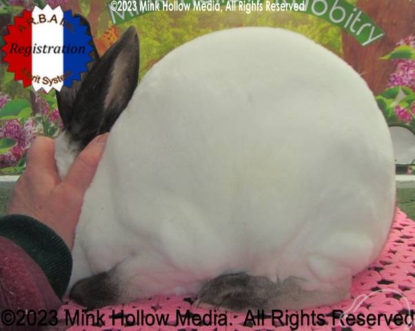 0-main.jpg 0-main.jpg