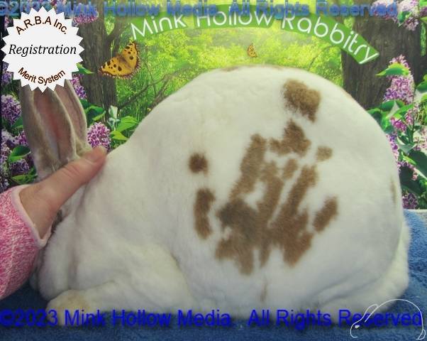 0-main.jpg 0-main.jpg