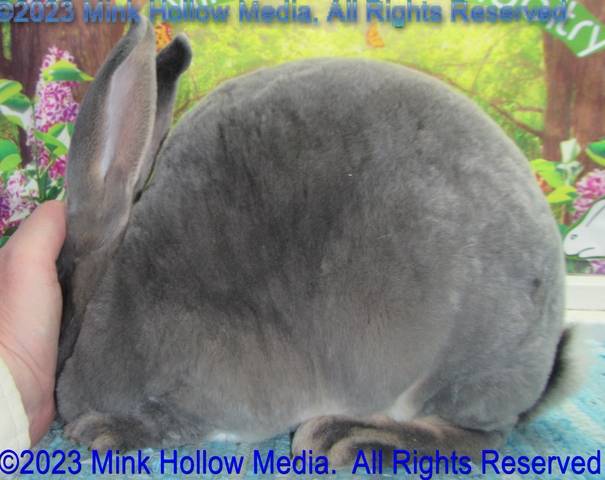 0-main.jpg 0-main.jpg