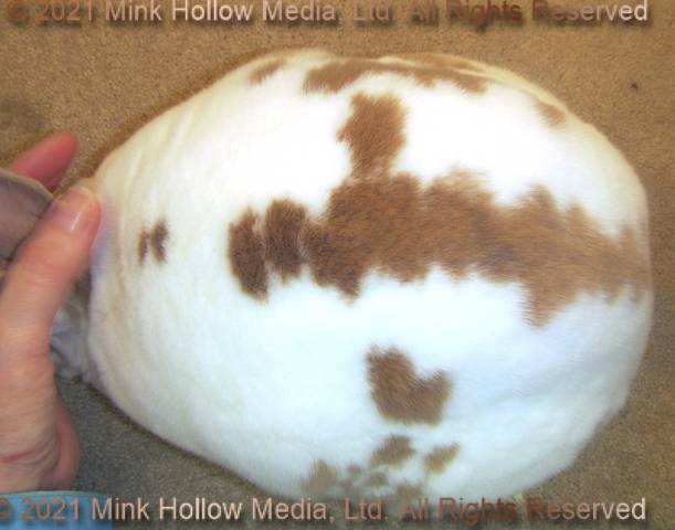 edda-2021-08-23-17-40-34_wm.jpg edda-2021-08-23-17-40-34_wm.jpg