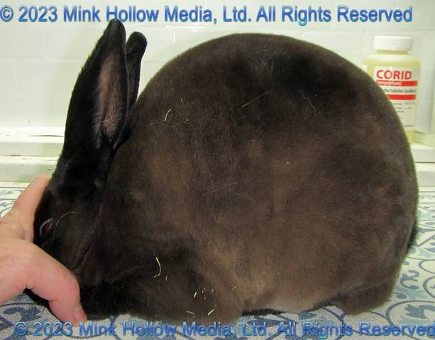 0-main.jpg 0-main.jpg