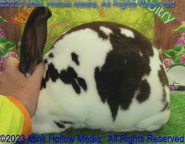 0-main.jpg 0-main.jpg