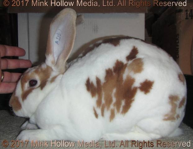 0-main.jpg 0-main.jpg