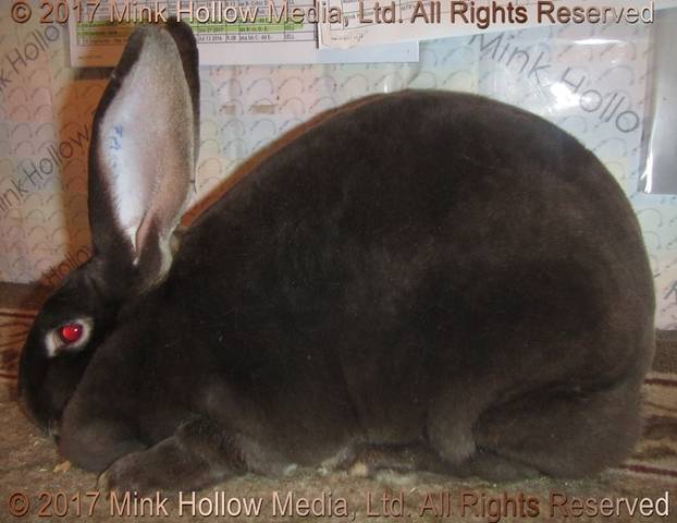 0-main.jpg 0-main.jpg