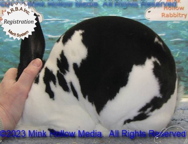 0-main.jpg 0-main.jpg