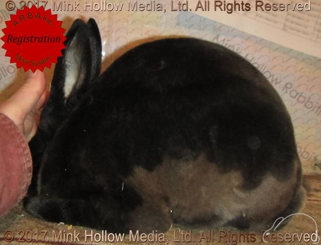 0-main.jpg 0-main.jpg