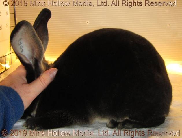 0-main.jpg 0-main.jpg