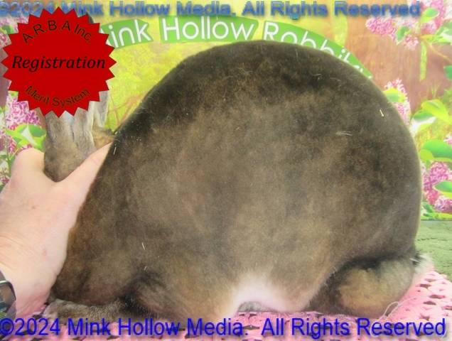 0-main.jpg 0-main.jpg