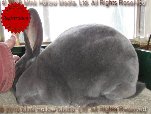 0-main.jpg 0-main.jpg