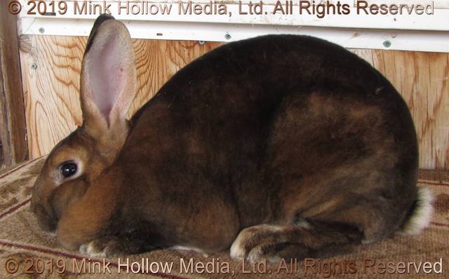 0-main.jpg 0-main.jpg