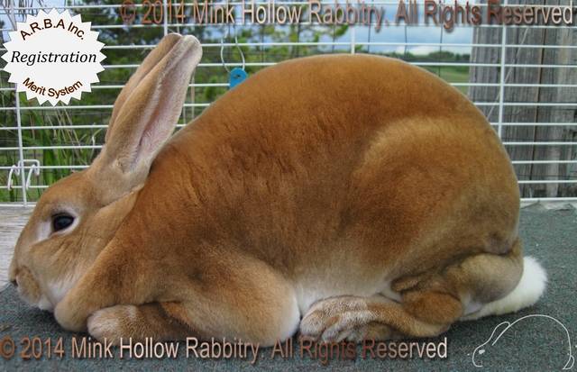 0-main.jpg 0-main.jpg