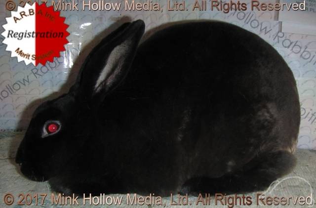 0-main.jpg 0-main.jpg