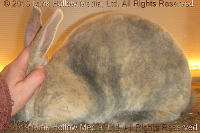 0-main.jpg 0-main.jpg