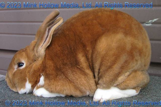 red-2012-11-04_15-35-51_wm.jpg red-2012-11-04_15-35-51_wm.jpg