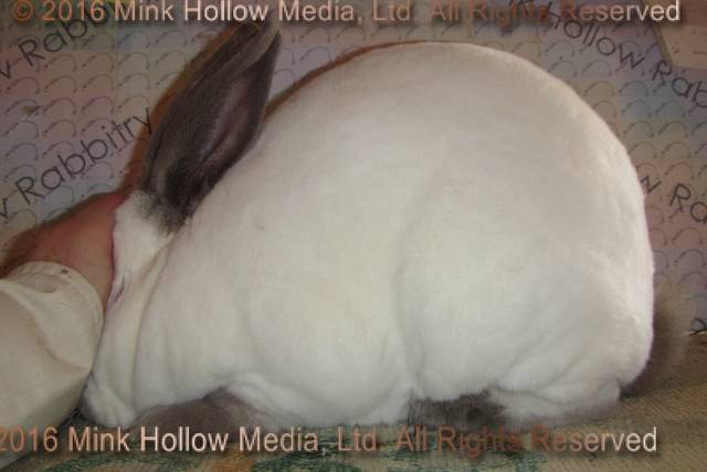 0-main.jpg 0-main.jpg