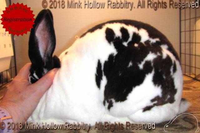 0-main.jpg 0-main.jpg