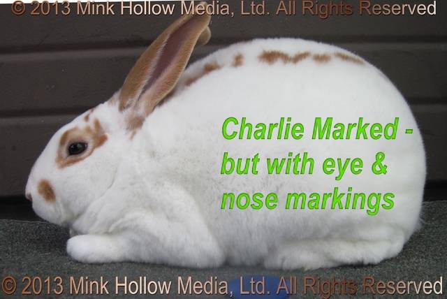 ubc3-2013-04-21_13-24-34_wm.jpg ubc3-2013-04-21_13-24-34_wm.jpg