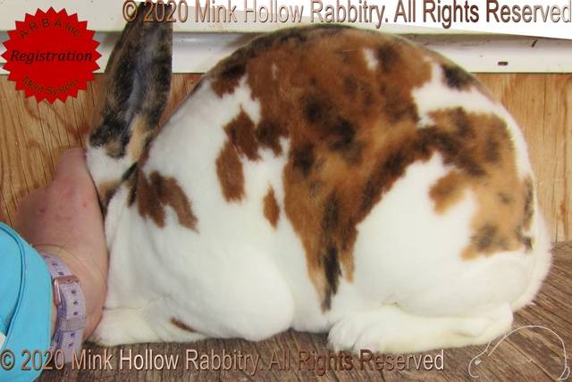 0-main.jpg 0-main.jpg