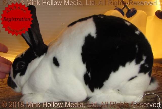 0-main.jpg 0-main.jpg