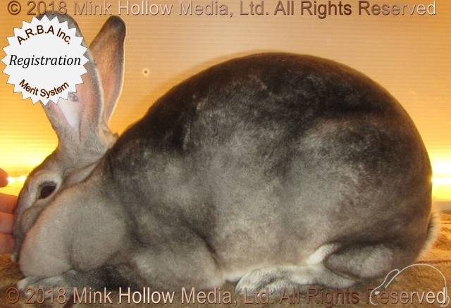 0-main.jpg 0-main.jpg