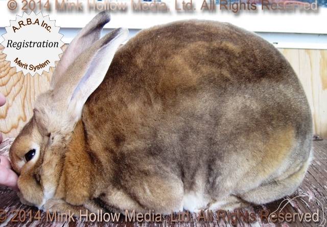 0-main.jpg 0-main.jpg