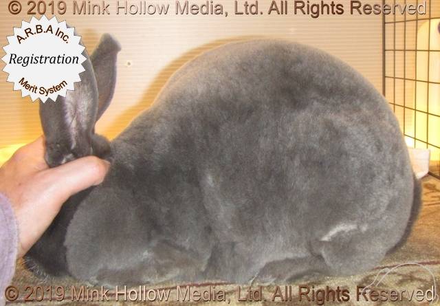 0-main.jpg 0-main.jpg