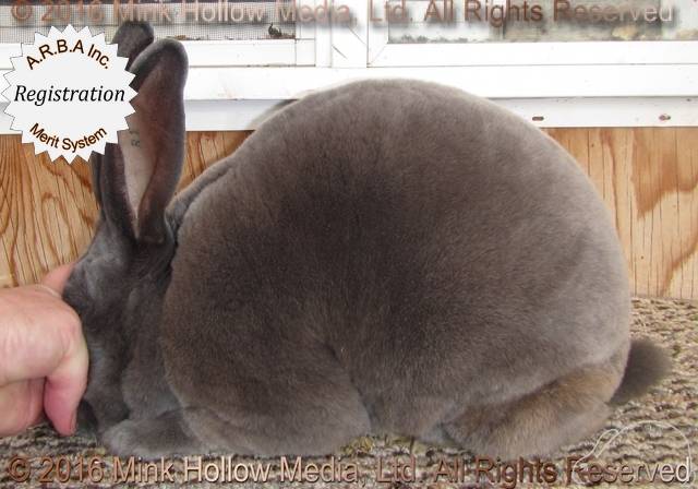 0-main.jpg 0-main.jpg