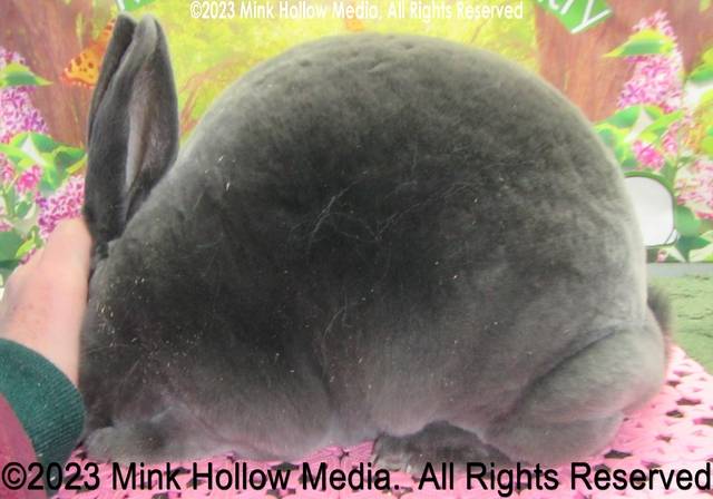 0-main.jpg 0-main.jpg