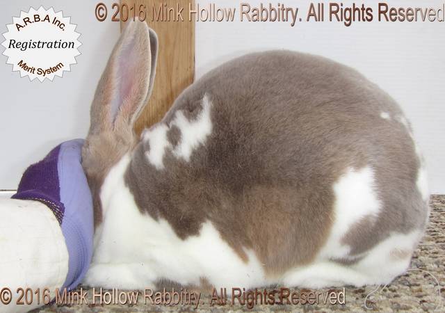 0-main.jpg 0-main.jpg