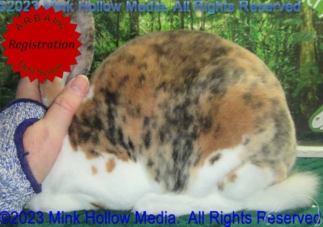 0-main.jpg 0-main.jpg