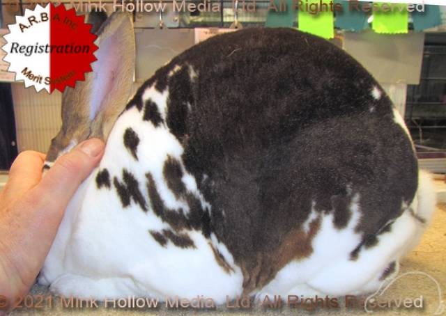 0-main.jpg 0-main.jpg