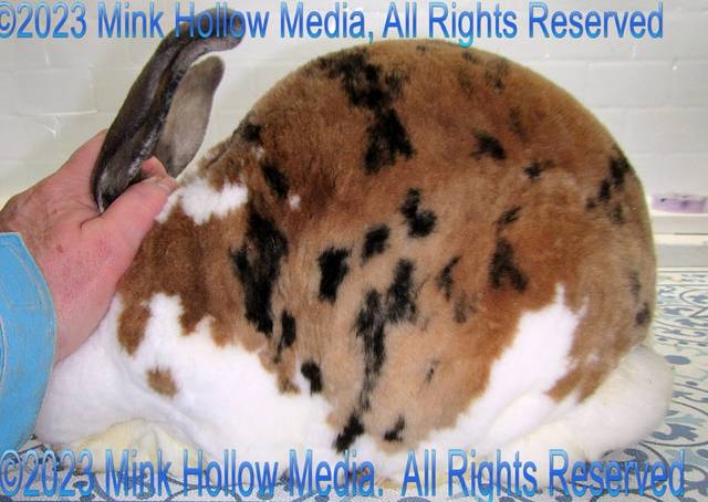 0-main.jpg 0-main.jpg