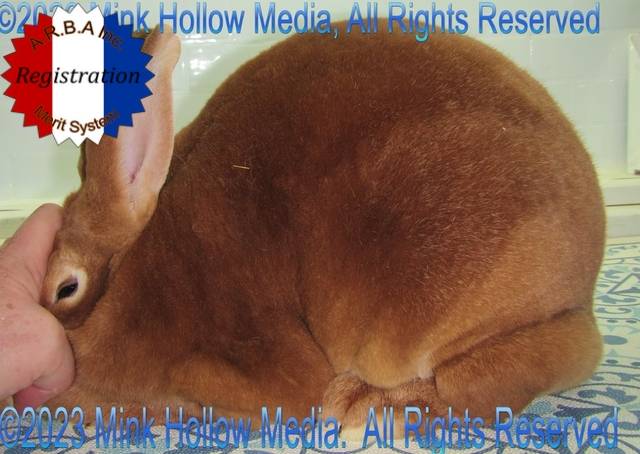 0-main.jpg 0-main.jpg