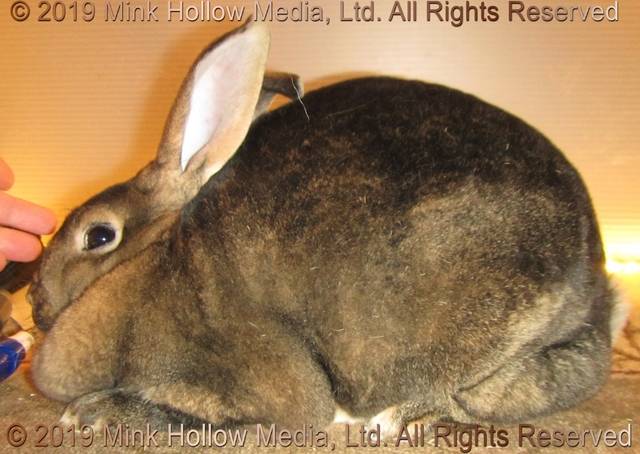 0-main.jpg 0-main.jpg